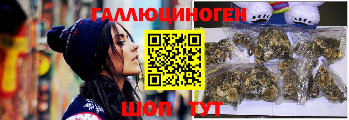 цены   Псилоцибиновые грибы Magic Shrooms  Вход с VPN  Наро-Фоминск 