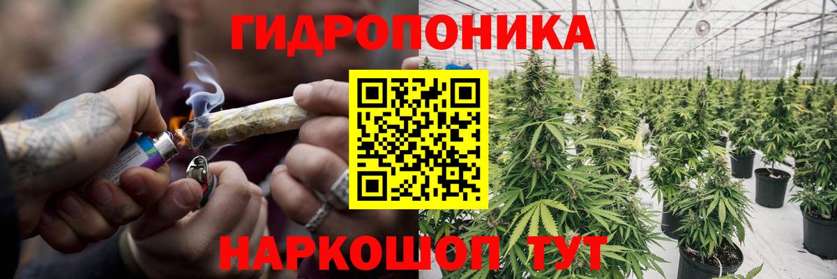 Бошки Шишки OG Kush  Конопля MAZAR  Наро-Фоминск  Вход с VPN 